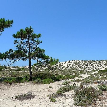 Comporta Beach House Exteriör bild