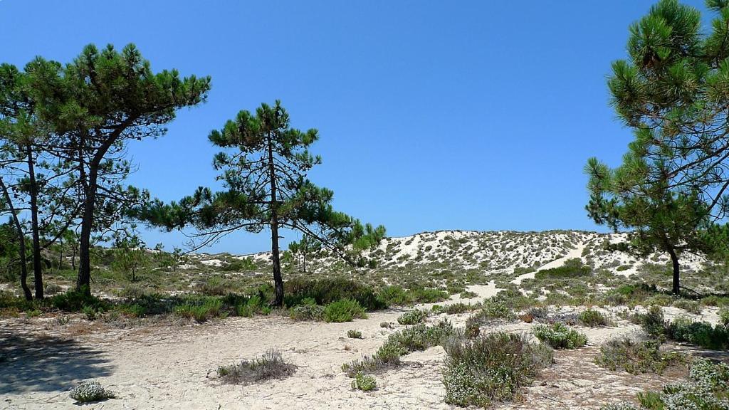 Comporta Beach House Exteriör bild